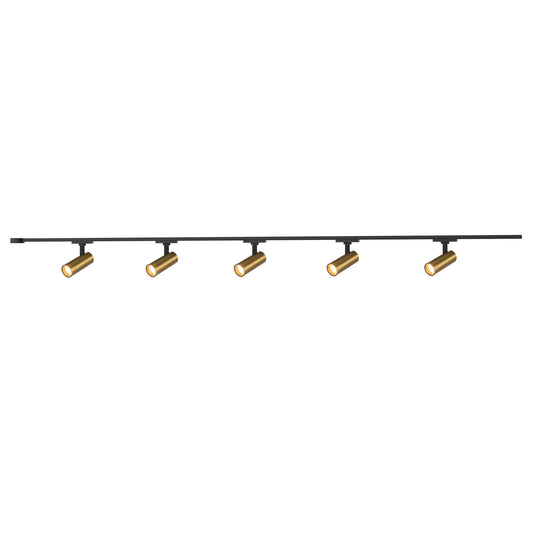 Trilo Ceiling Kit - Paolo 2in 5-Head