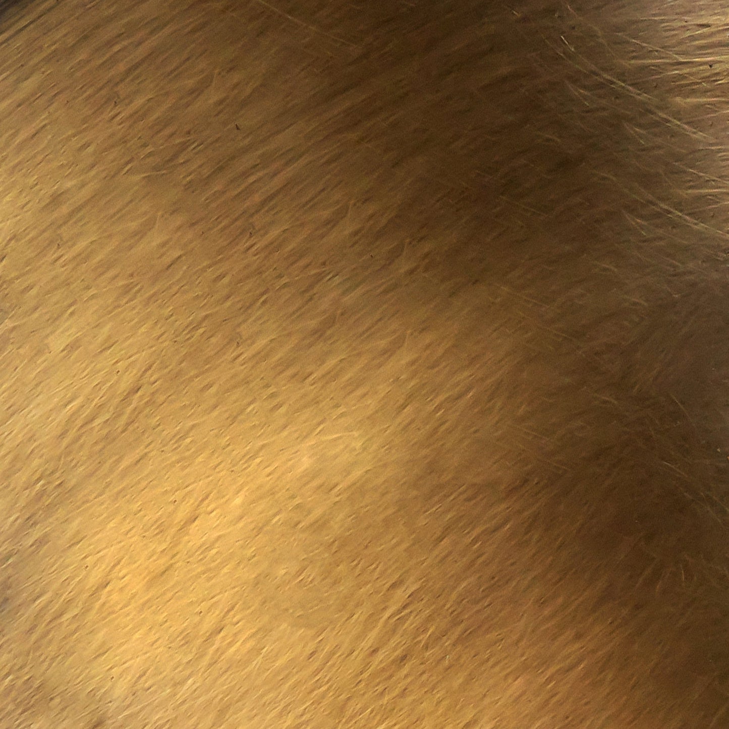 Astrid 25-in Wall/Vanity Light