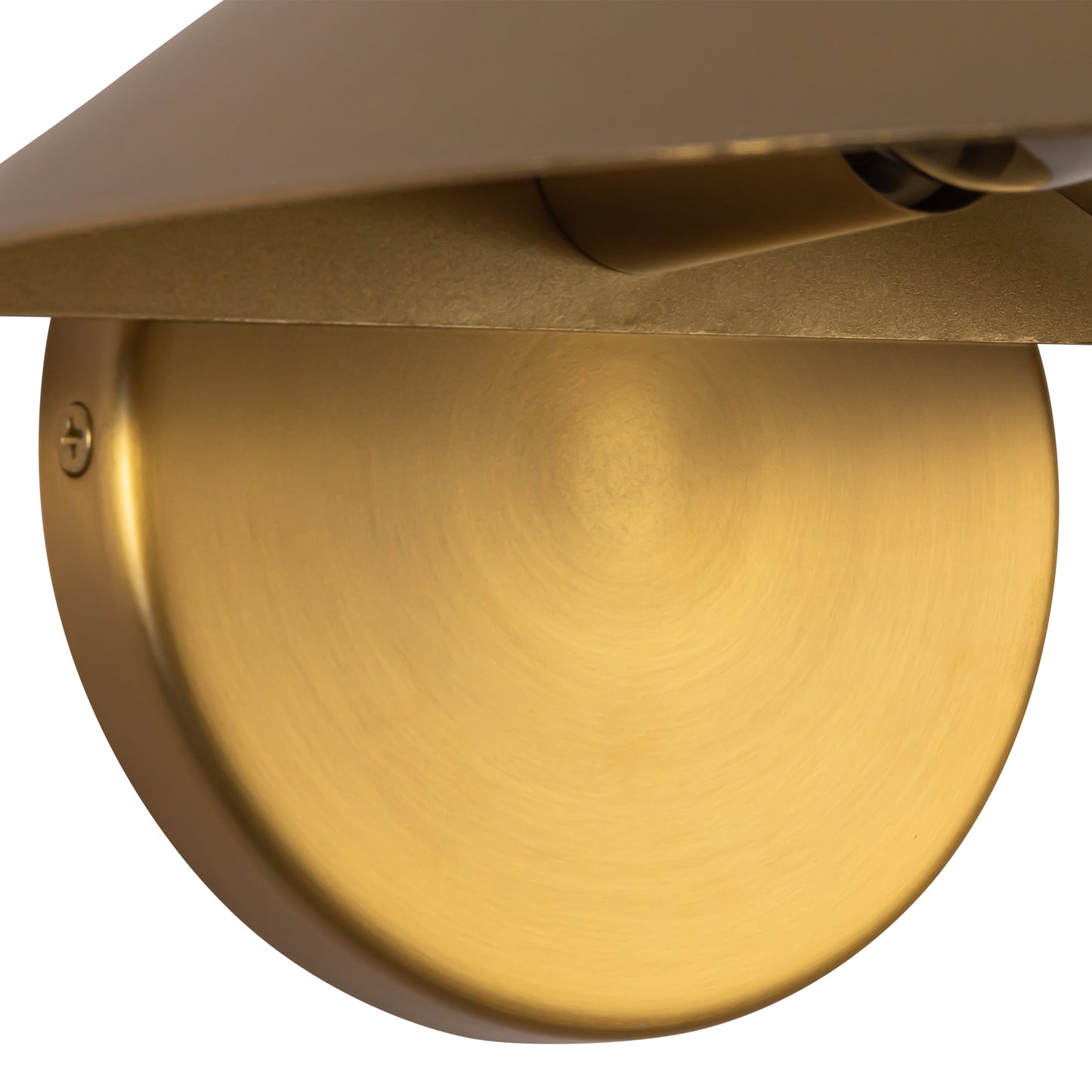 Ashford 8-in Wall Sconce