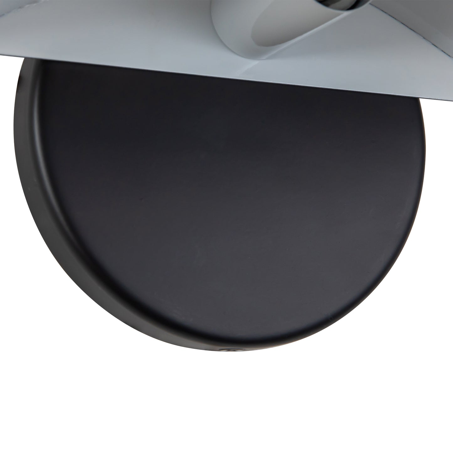 Ashford 8-in Wall Sconce