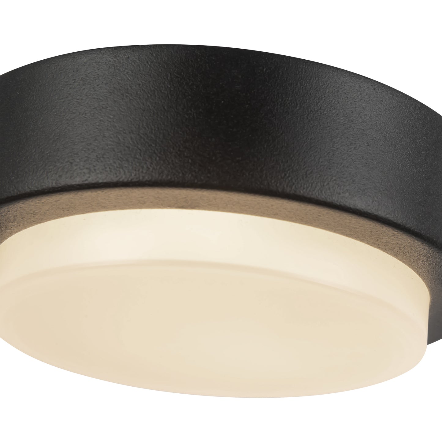 Bailey 5-in Exterior Ceiling
