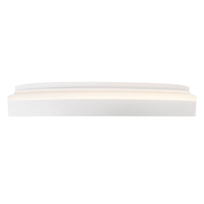 Beanie 20-in Flush Mount