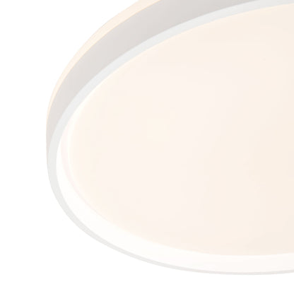 Beanie 20-in Flush Mount