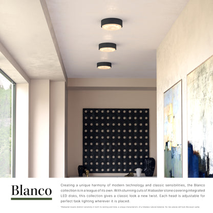 Blanco 8-in Flush Mount