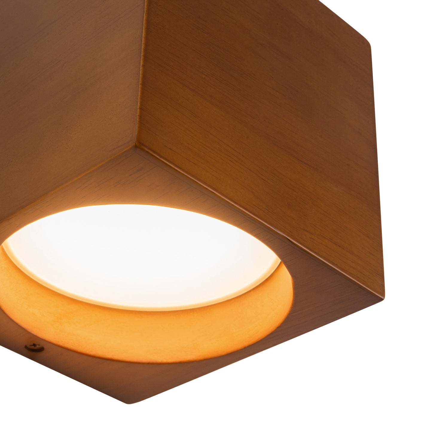 Bosco 5-in Wall Sconce