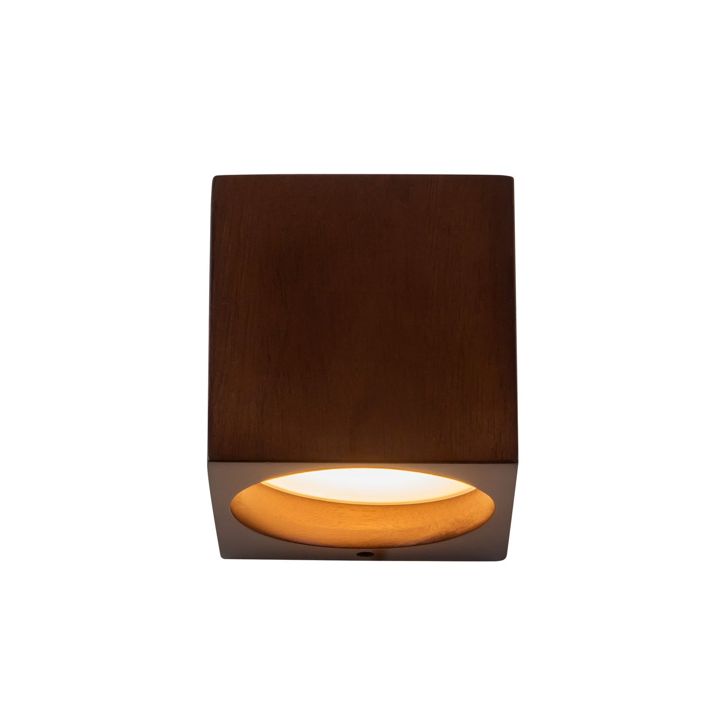 Bosco 5-in Wall Sconce