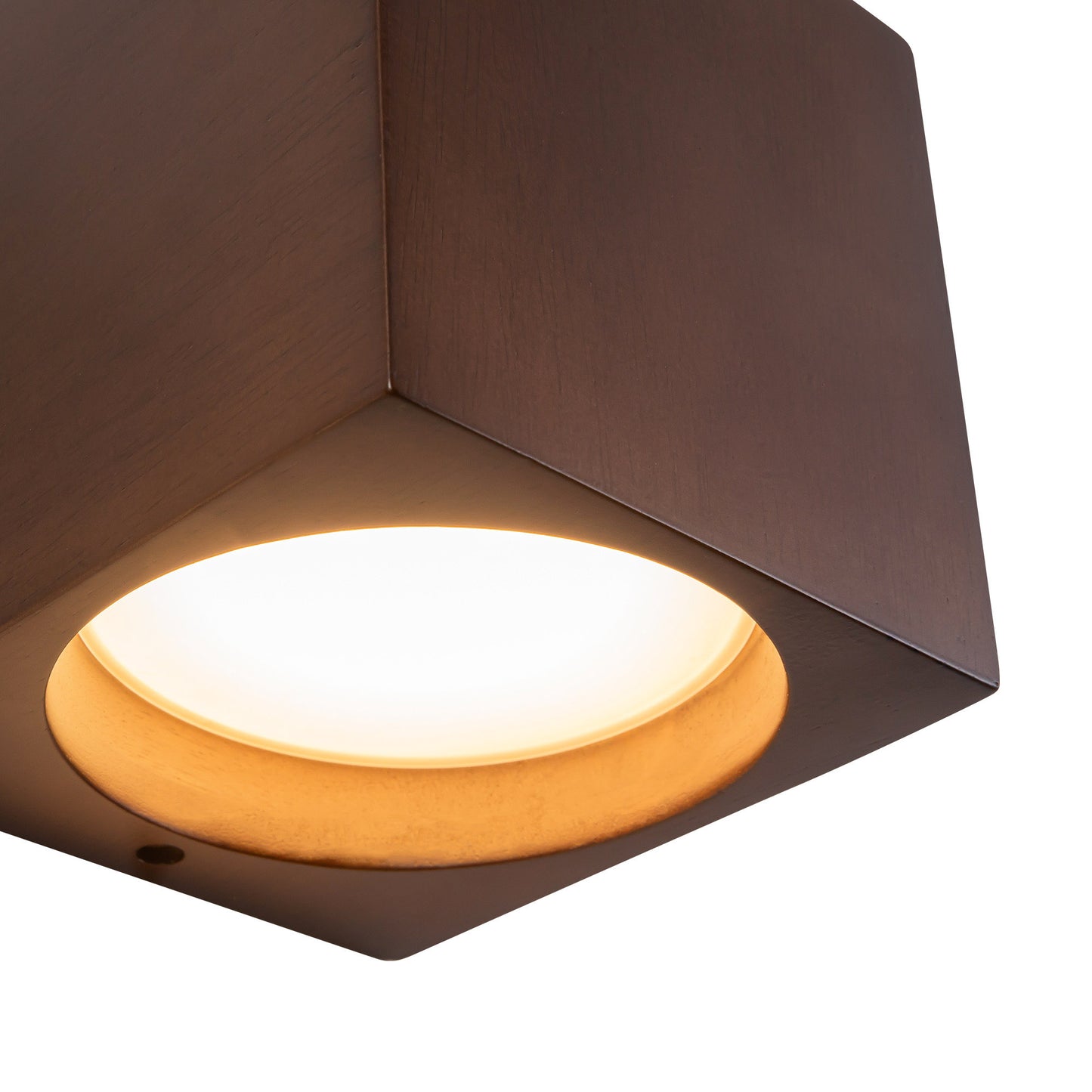Bosco 5-in Wall Sconce