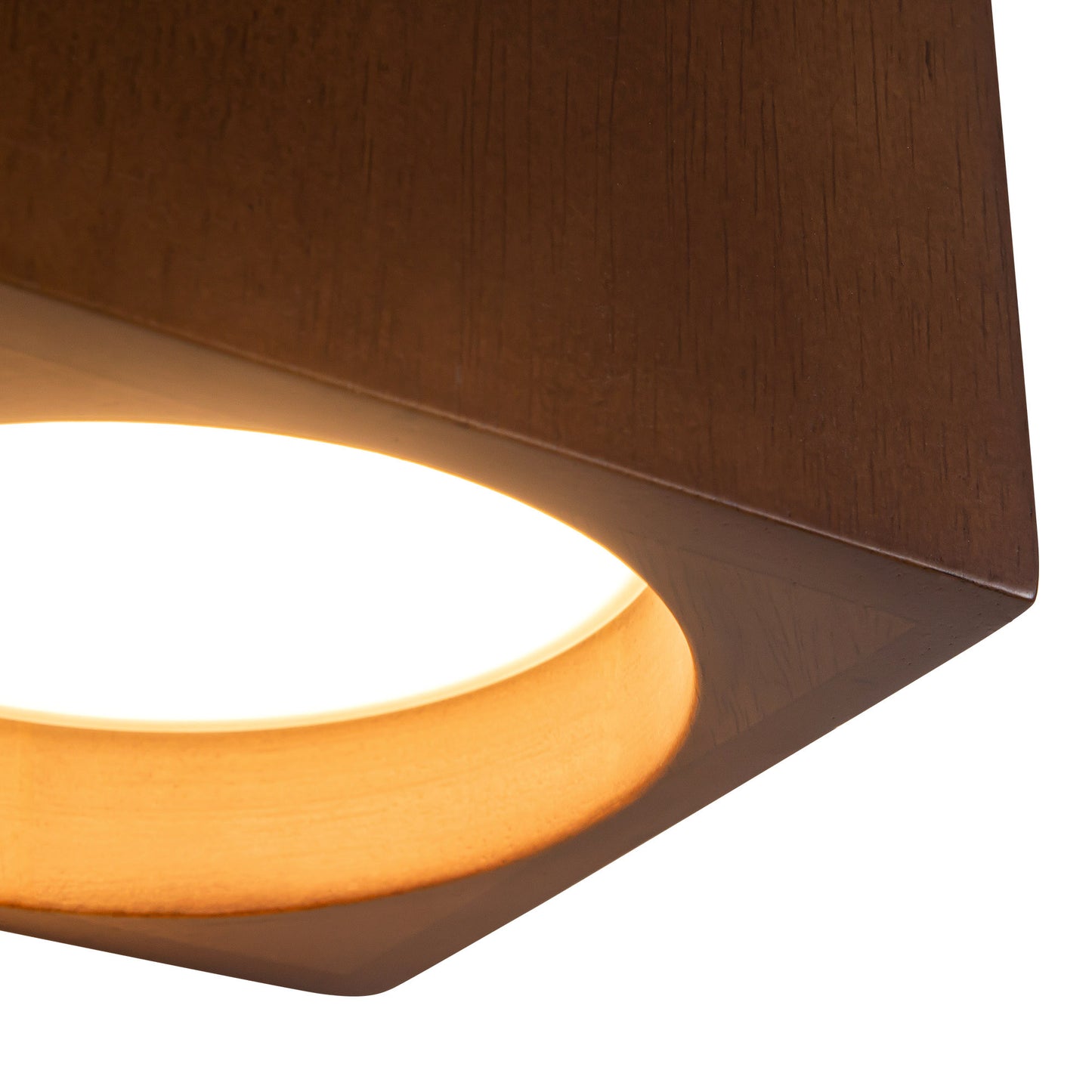 Bosco 10-in Wall Sconce