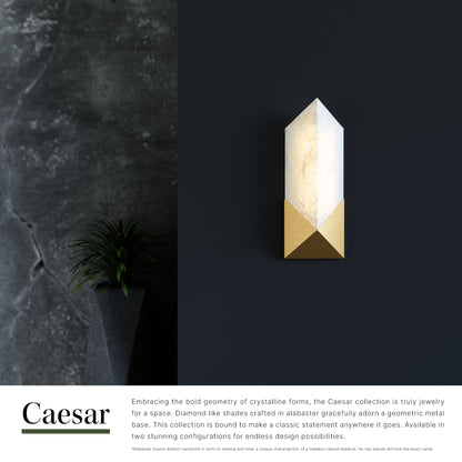 Caesar 12-in Wall/Vanity Light