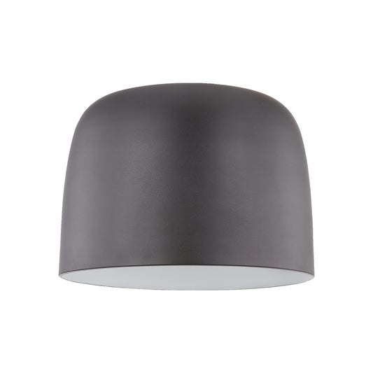 Cayne 12-in Flush Mount