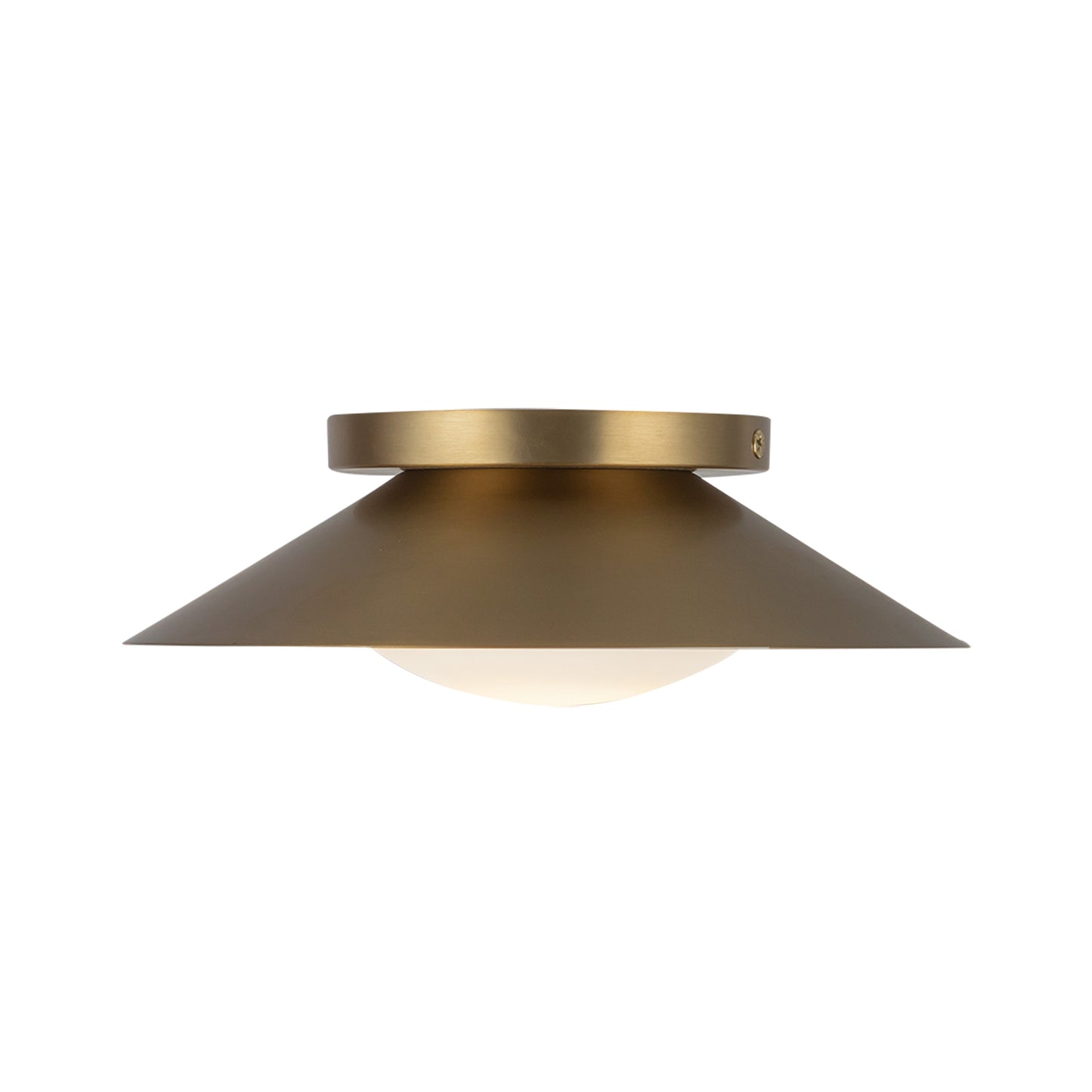 Cleo 9-in Wall Sconce