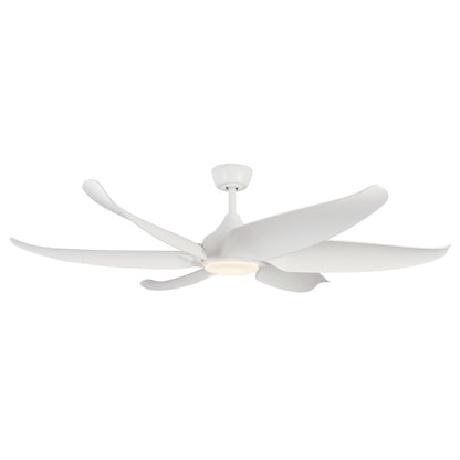 Coronado 60-in Ceiling Fan