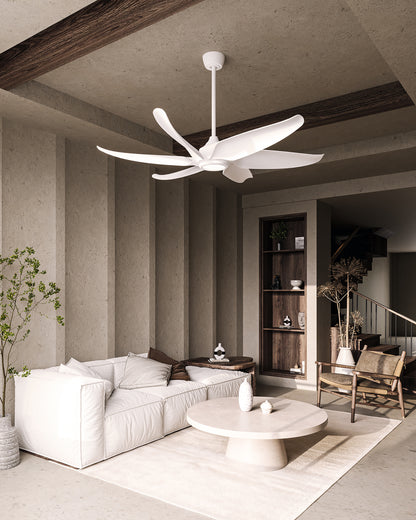 Coronado 60-in Ceiling Fan