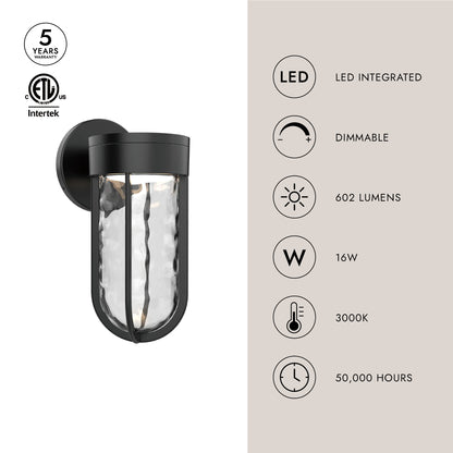 Davy 9-in Exterior Wall Sconce