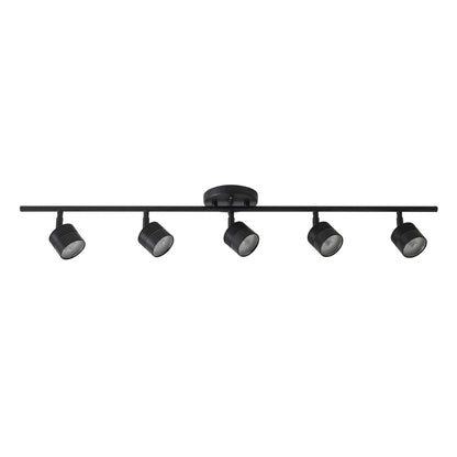 Denson 36-in Track Light