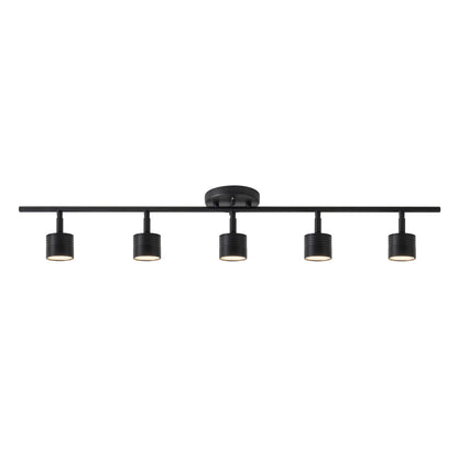 Denson 36-in Track Light