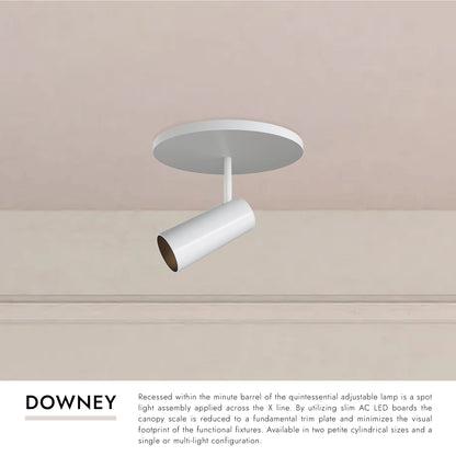 Downey 2-in Semi-Flush Mount