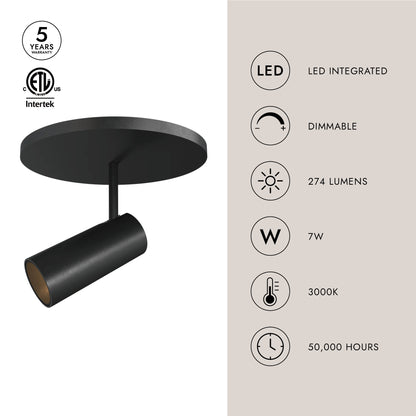 Downey 2-in Semi-Flush Mount