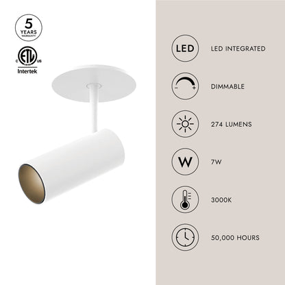 Downey 2-in Semi-Flush Mount