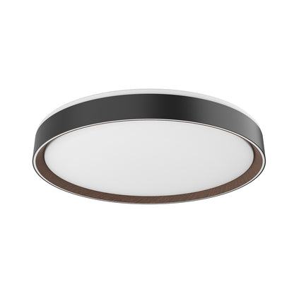 Essex 20-in Flush Mount