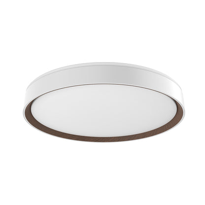 Essex 20-in Flush Mount