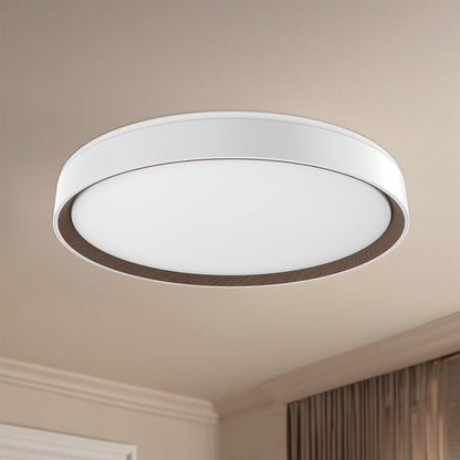 Essex 20-in Flush Mount