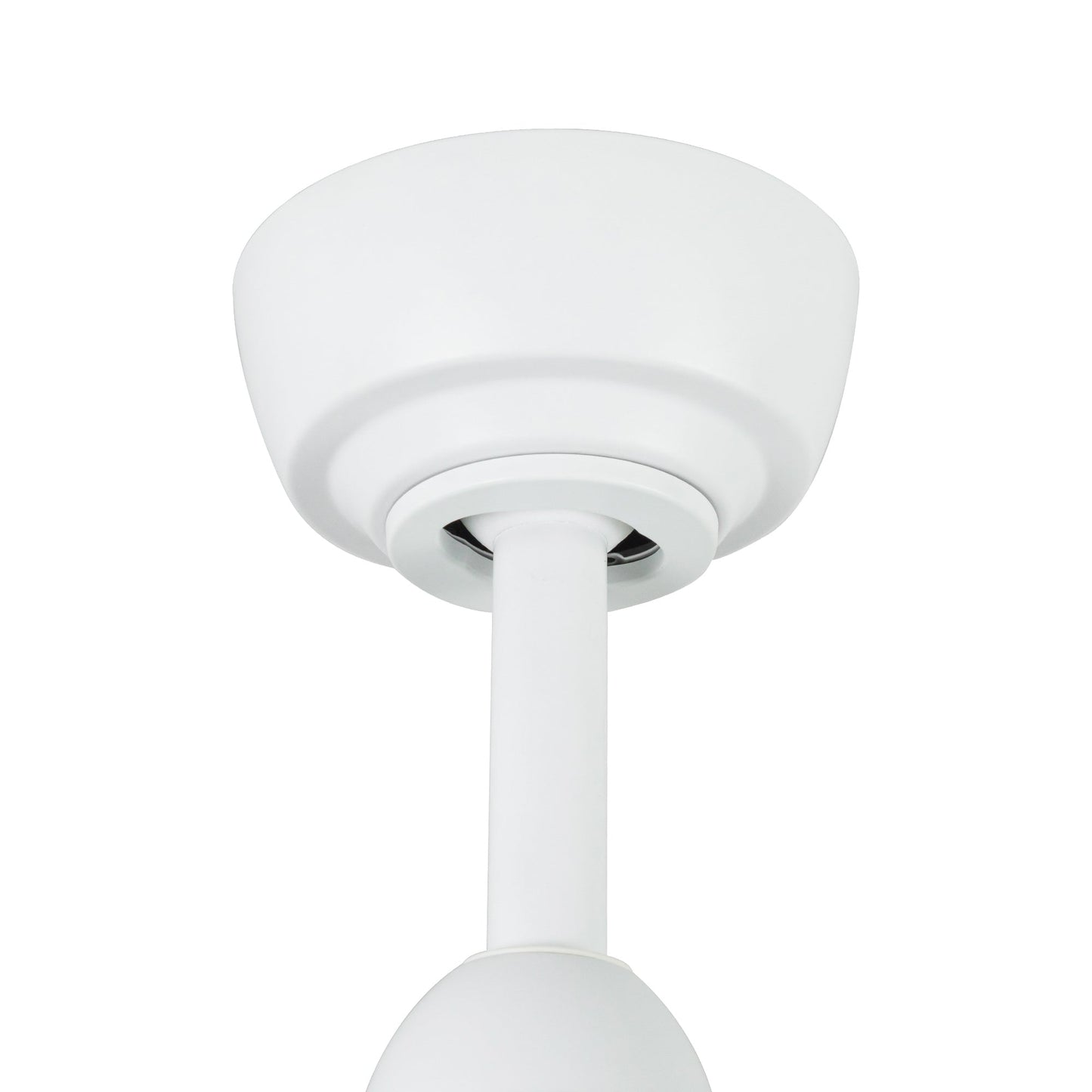 CF92942-WH