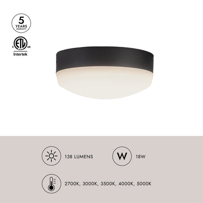 Hugo 5-in Fan Light Kit