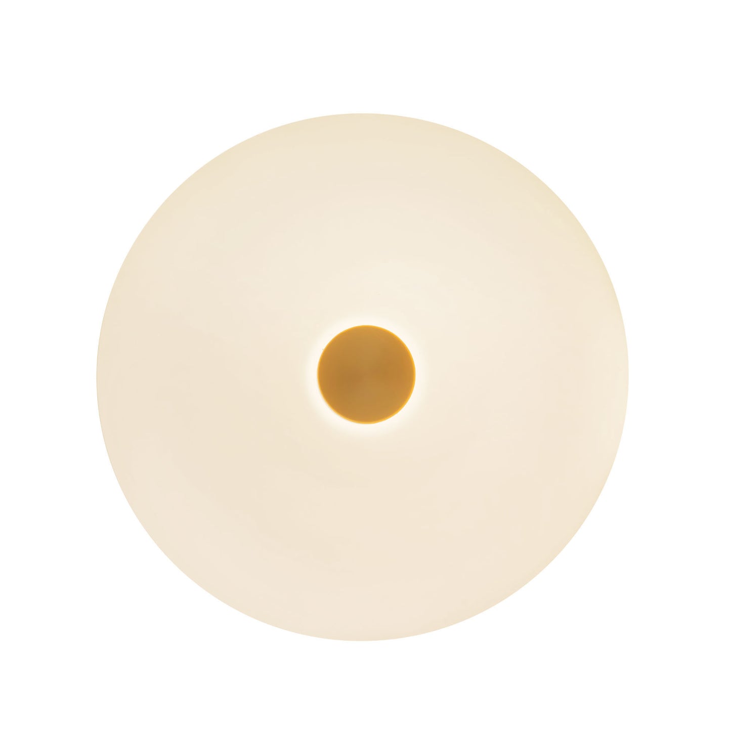 Jada 5-in Wall Sconce