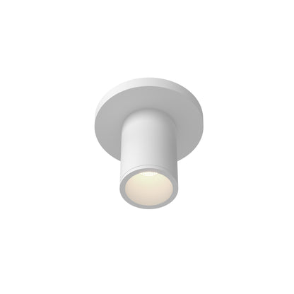 Lorna 4-in (2-in Dia.) Ceiling Mount