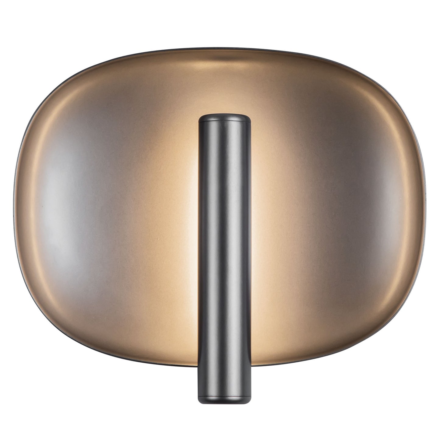 Lustre 9-in Wall Sconce