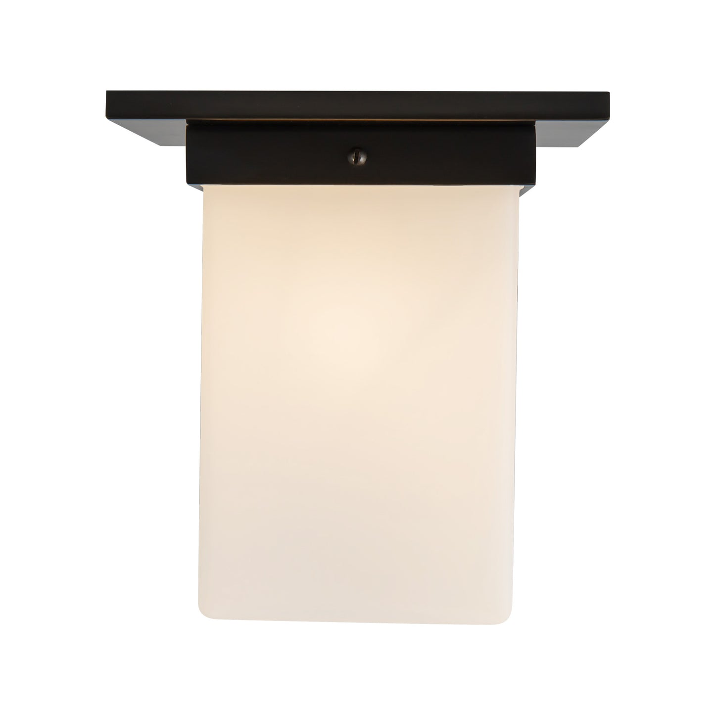 Mineral 8-in (8-in Width) Flush Mount
