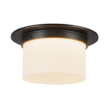Mineral 5-in (11-in Dia.) Flush Mount