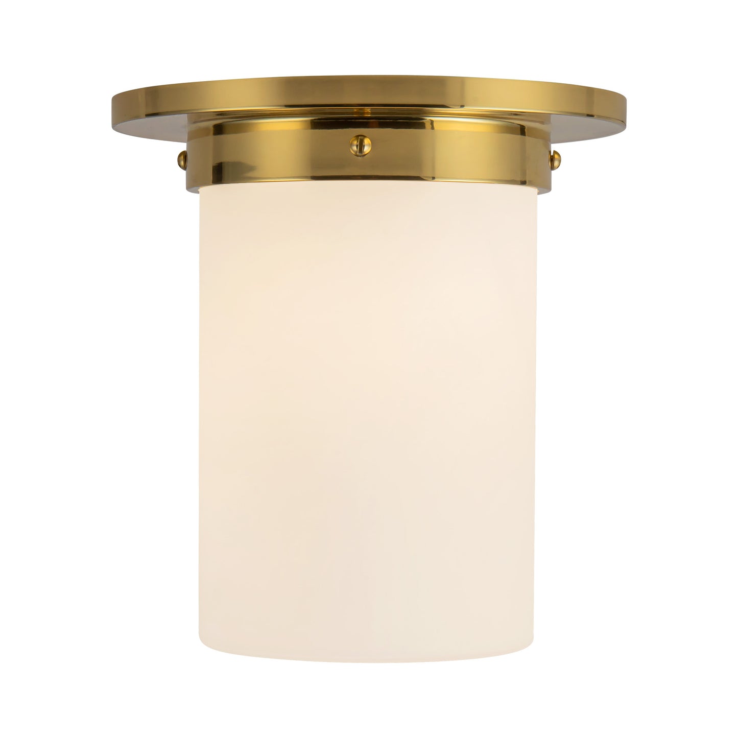 Mineral 8-in (8-in Dia.) Flush Mount