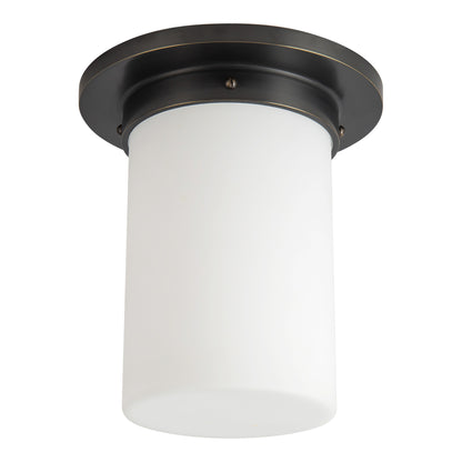 Mineral 8-in (8-in Dia.) Flush Mount