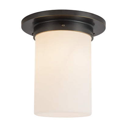 Mineral 8-in (8-in Dia.) Flush Mount