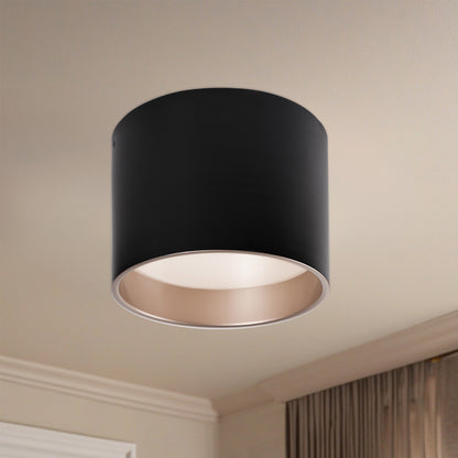 Mousinni 10-in Flush Mount