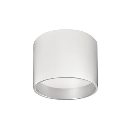 Mousinni 10-in Flush Mount