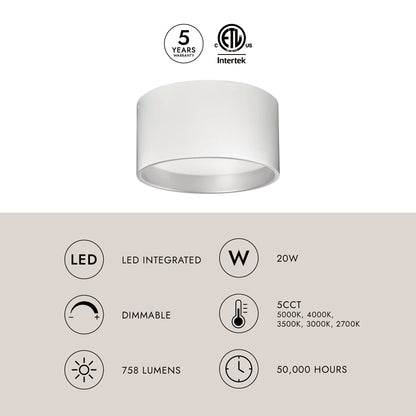 Mousinni 14-in Flush Mount