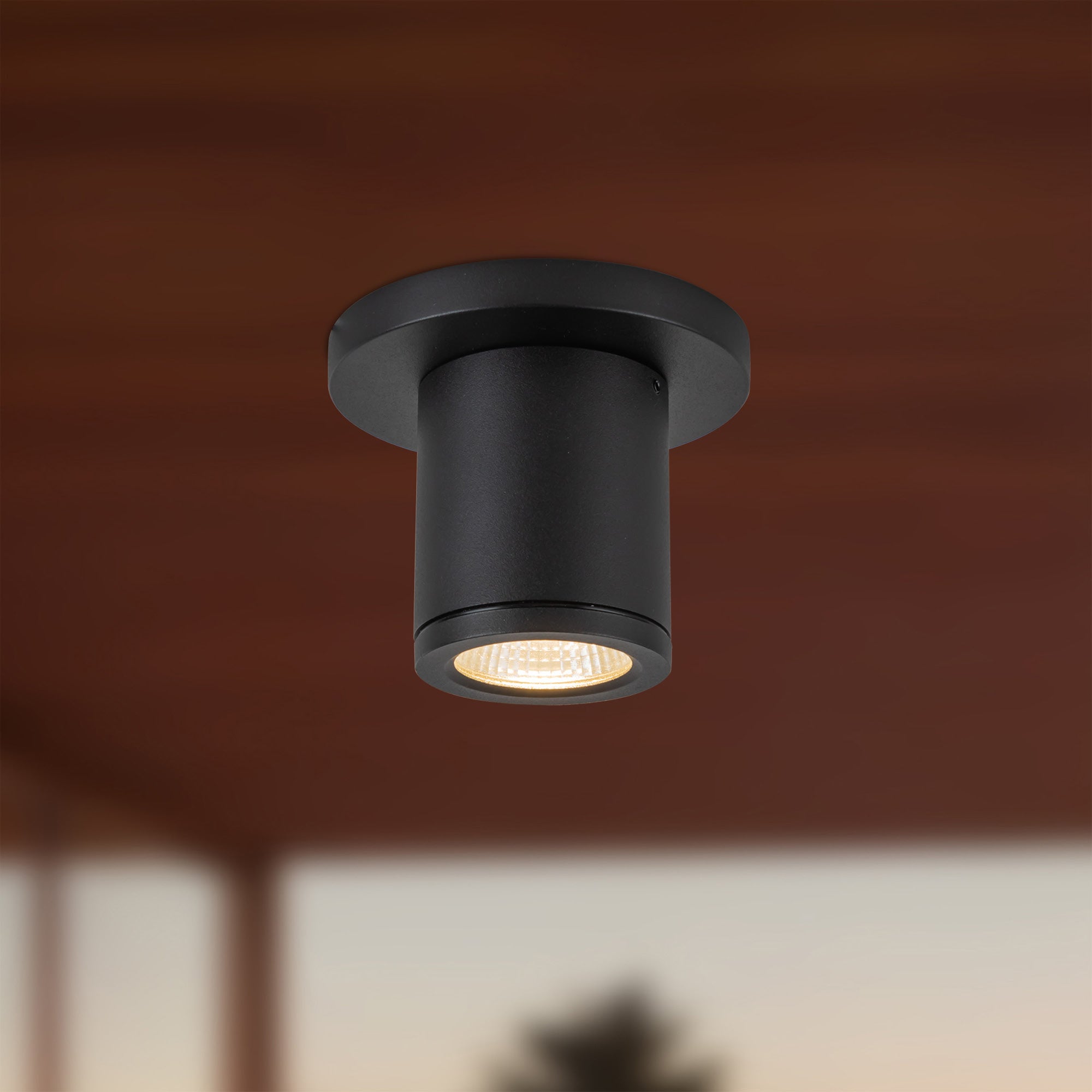 Nordic 3-in (2-in Dia.) Exterior Ceiling – Kuzco Lighting