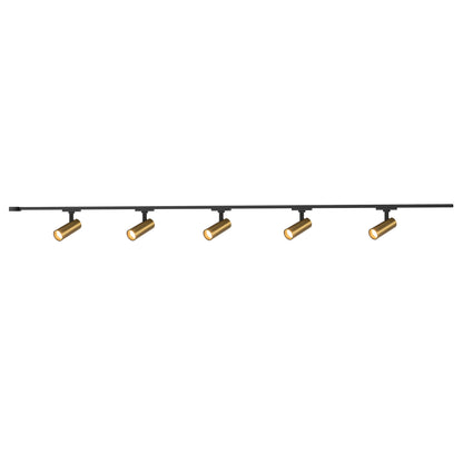 Trilo Ceiling Kit - Paolo 2in 5-Head