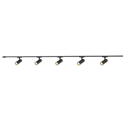 Trilo Ceiling Kit - Paolo 2in 5-Head