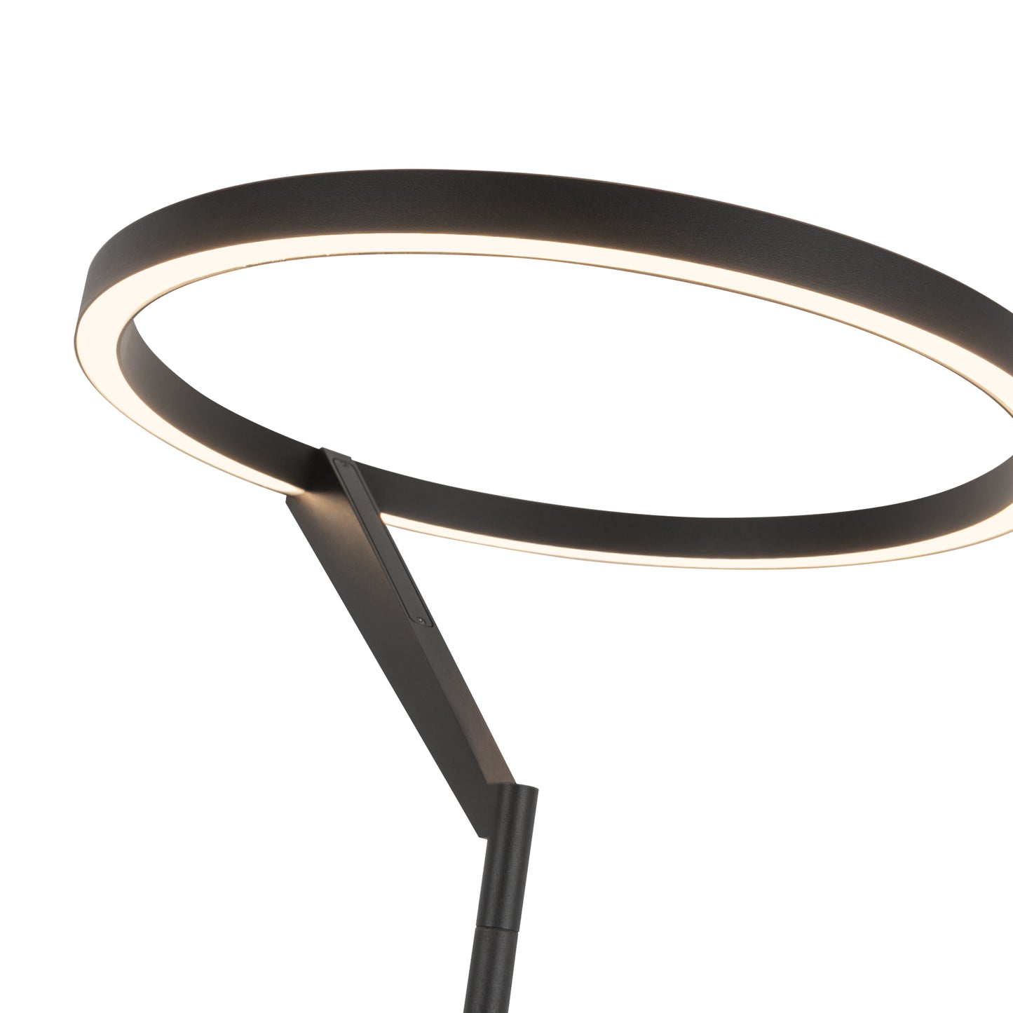 Roda 66-in Floor Lamp