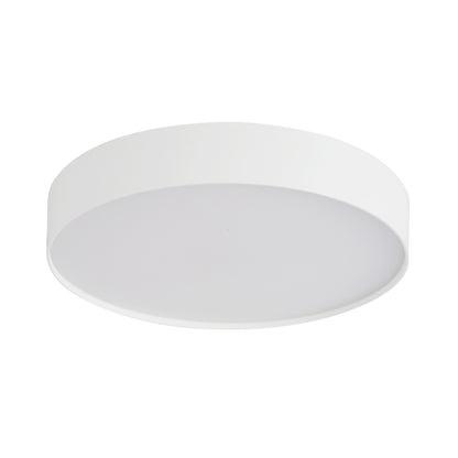 Rynn 5-in Flush Mount