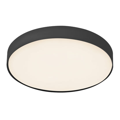 Rynn 7-in Flush Mount