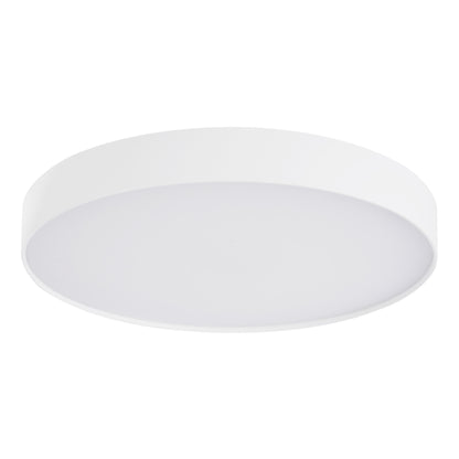 Rynn 7-in Flush Mount