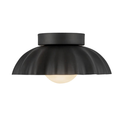 Soleil 10-in Wall/Vanity Light