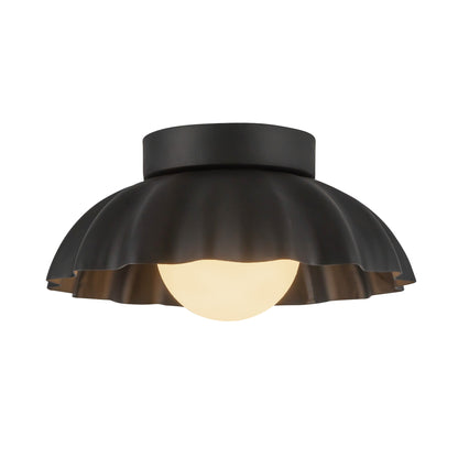 Soleil 10-in Wall/Vanity Light