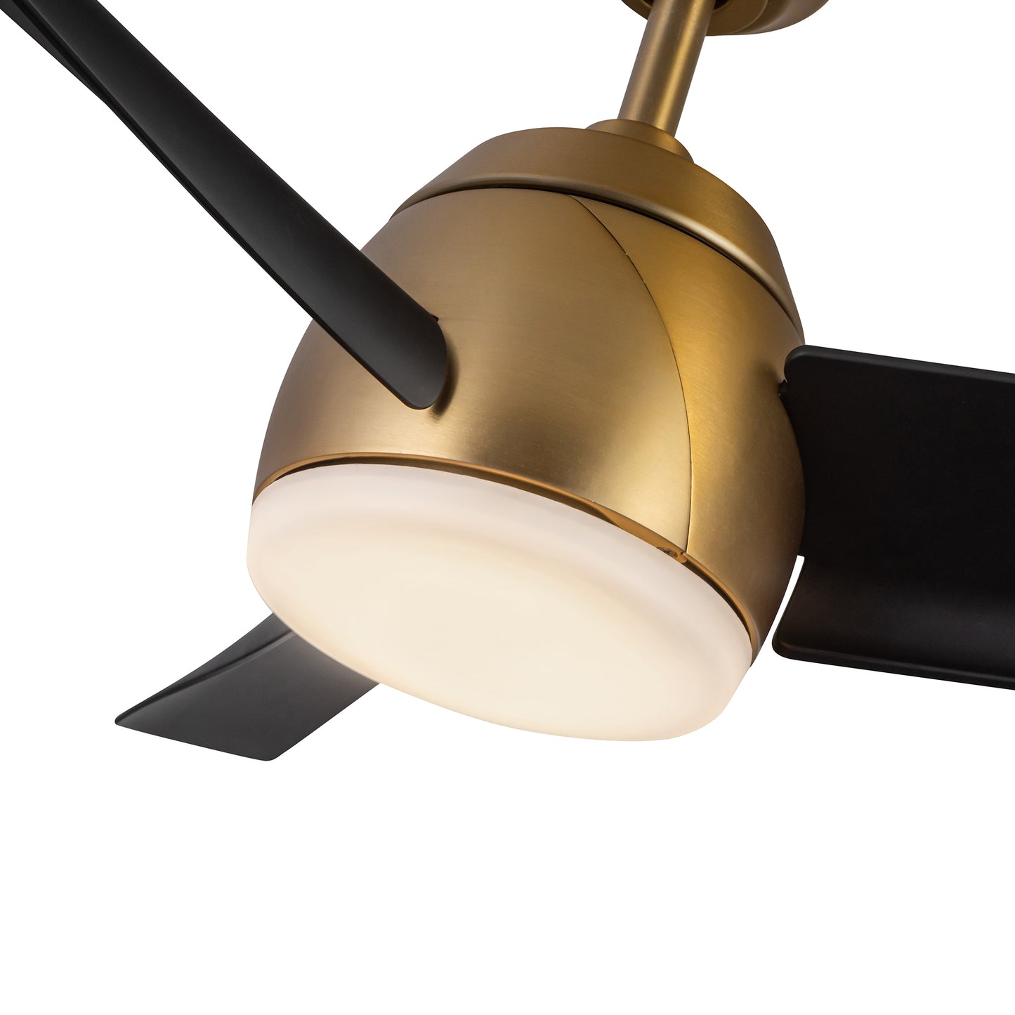 Thalia 54-in Ceiling Fan