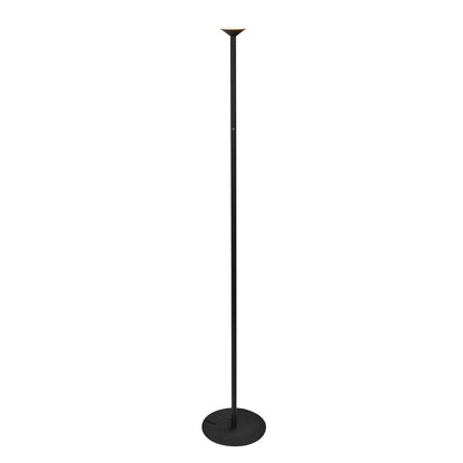 Valor 78-in Floor Lamp